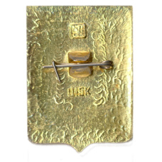 Значок Боровичи (вид 2)