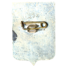 Значок Новгород (вид 2)