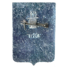 Значок Братск (вид 2)