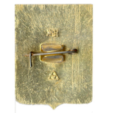 Значок Владимир (вид 2)