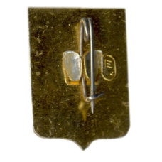 Значок Владимир (вид 2)