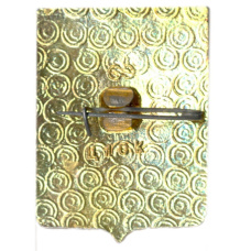 Значок Муром (вид 2)