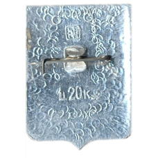 Значок Жиганск (вид 2)