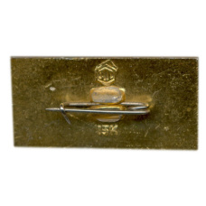 Значок Псков (вид 2)