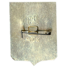 Значок Пенза (вид 2)