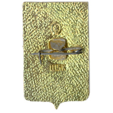 Значок Ростов на Дону (вид 2)