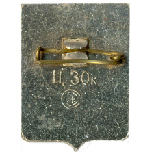 Значок Новосибирск (вид 2)