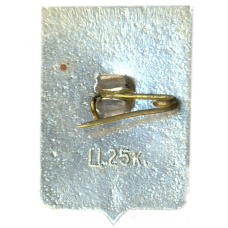 Значок Демянск (вид 2)