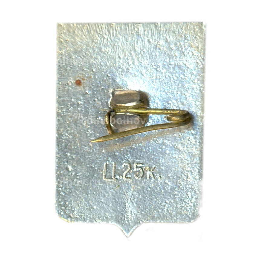 Значок Демянск (вид 2)