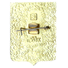 Значок Брянск (вид 2)