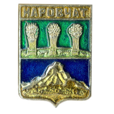 Значок Наровчат