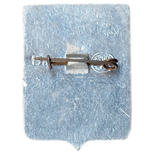 Значок Шацк (вид 2)