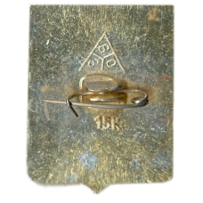 Значок Владимир (вид 2)