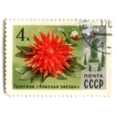 Марка «Георгина «Красная звезда» 1978 год