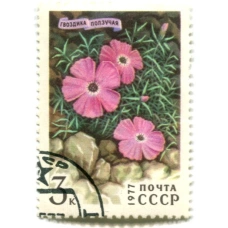 Марка «Гвоздика ползучая» 1977 год