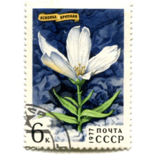 Марка «Яснолка крупная» 1977 год