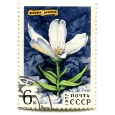 Марка «Яснолка крупная» 1977 год
