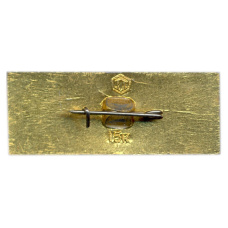 Значок Кострома (вид 2)