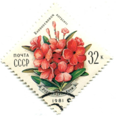 Марка «Рододендрон Кочи» 1981 года