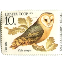 Марка «Птицы — защитники леса — Сова сипуха» 1979 год