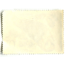 Марка «Птицы — защитники леса — Сова сипуха» 1979 год (вид 2)