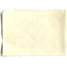 Марка «Птицы — защитники леса — Сова сипуха» 1979 год (вид 2)