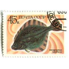 Марка «Звездчатая камбала» 1983 год