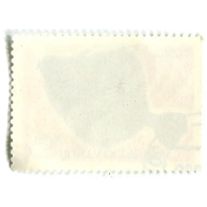 Марка «Звездчатая камбала» 1983 год (вид 2)