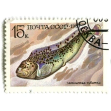 Марка «Пятнистая зубатка» 1983 год