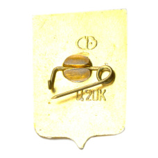 Значок Чита (вид 2)