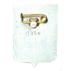 Значок Новгород (вид 2)