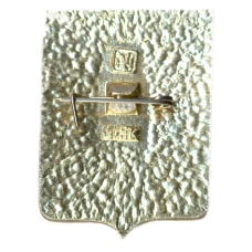 Значок Тамбов (вид 2)