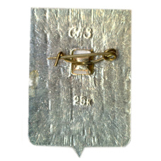 Значок Рославль (вид 2)