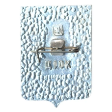 Значок Саранск (вид 2)