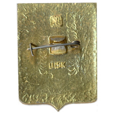 Значок Боровичи (вид 2)