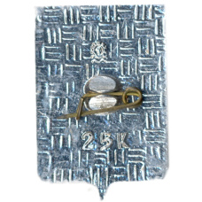 Значок Саратов (вид 2)