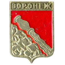 Значок Воронеж