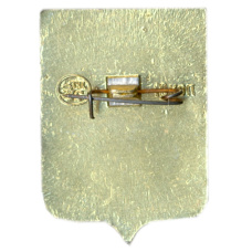 Значок Воронеж (вид 2)