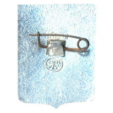 Значок Усмань (вид 2)