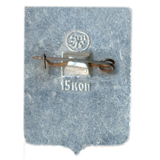 Значок Обоянь (вид 2)