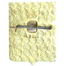 Значок Александров (вид 2)