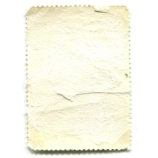 Марка «Михаил Евграфович Салтыков-Щедрин» 1976 год (вид 2)