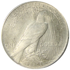 Монета 1 доллар 1924 года США (реверс)