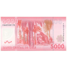 Банкнота 5000 песо 2014 года Чили (вид 2)