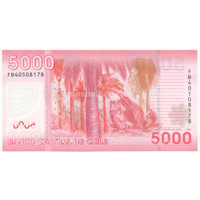 Банкнота 5000 песо 2014 года Чили (вид 2)