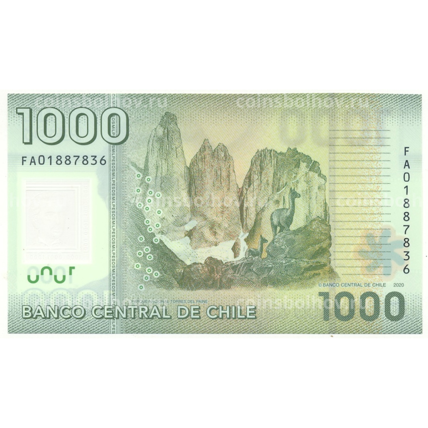 Банкнота 1000 песо 2020 года Чили (вид 2)