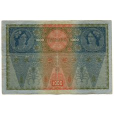 Банкнота 1000 крон 1902 года Австрия — Надпечатка (вид 2)