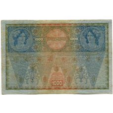 Банкнота 1000 крон 1902 года Австрия — Надпечатка (вид 2)