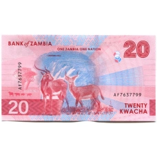 Банкнота 20 квача 2024 года Замбия (вид 2)