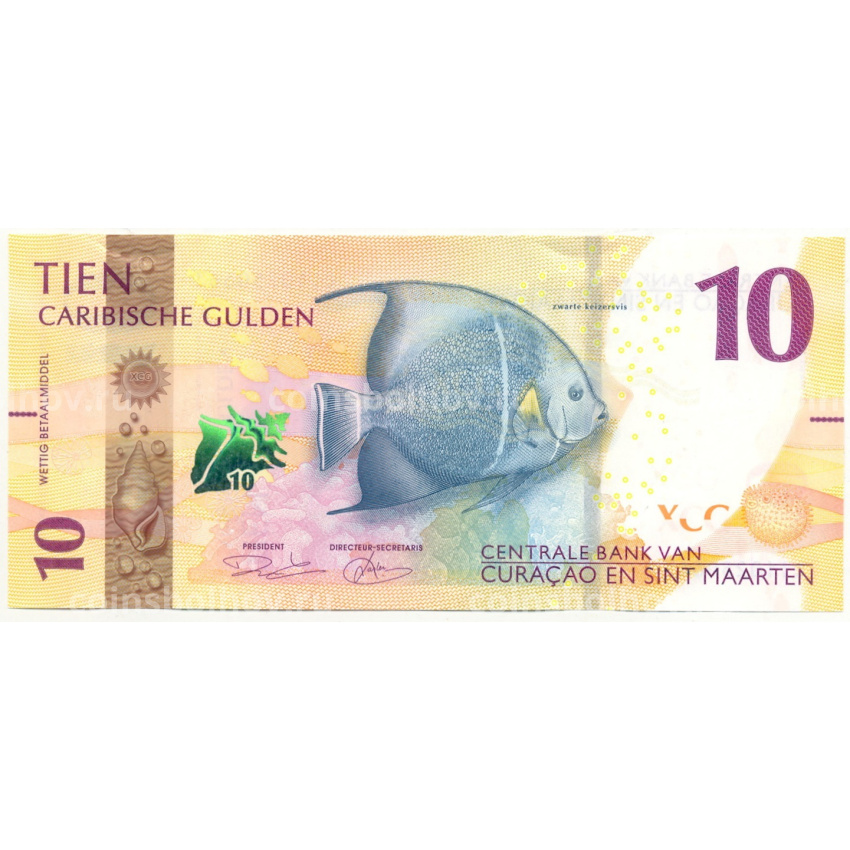 Банкнота 10 гульденов 2025 года Кюрасао и Сен-Мартен